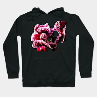 Purple Orchid Hoodie